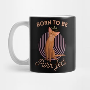 Born to be Purr-fect - Abyssinian Cat Lover Mug